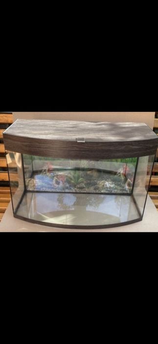 Виготовлення акваріумів