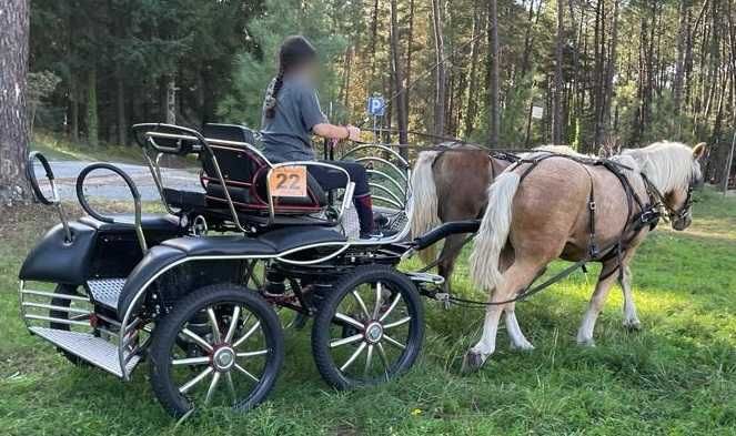 Hispano Breton Palomino