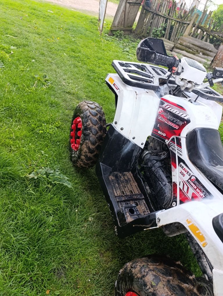 Forte braves 200