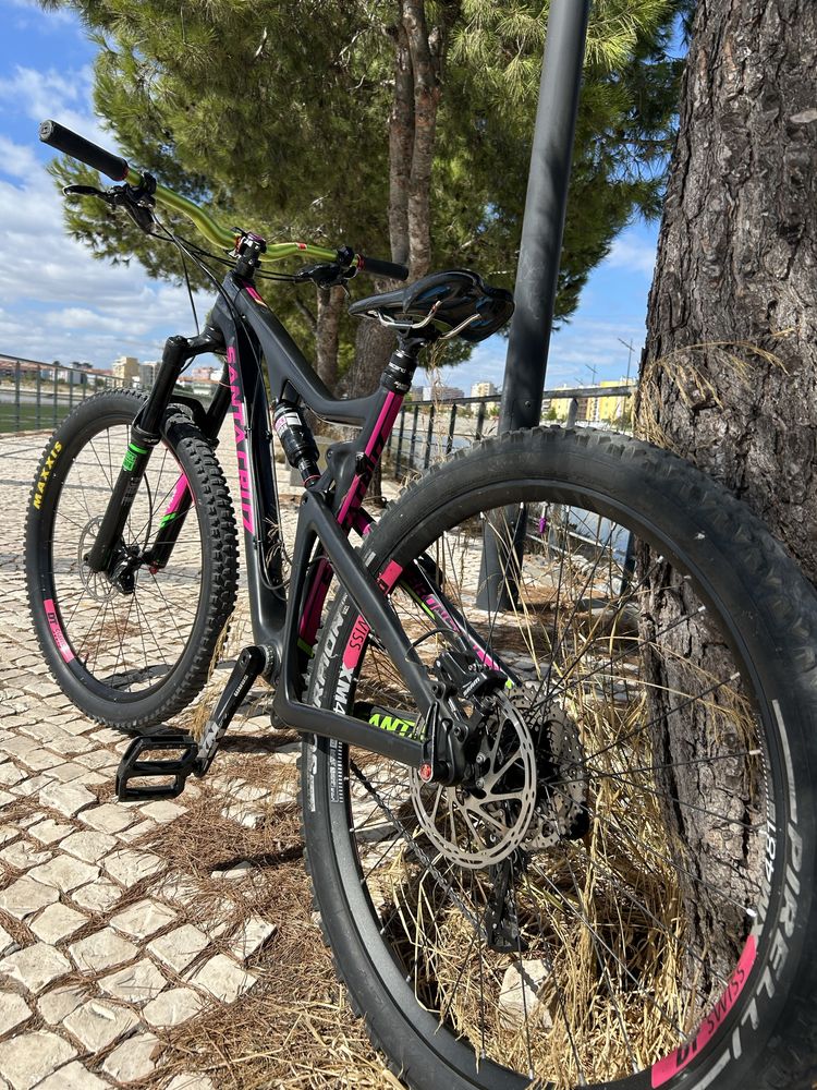 Santa cruz bronson c