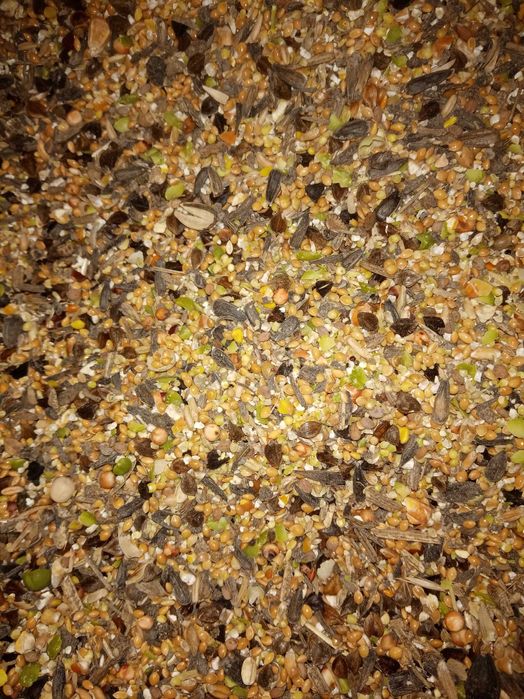 Karma dla gołębi mix drobnych ziaren 25kg