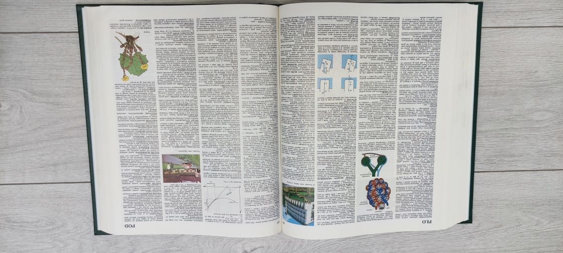Encyklopedia popularna PWN