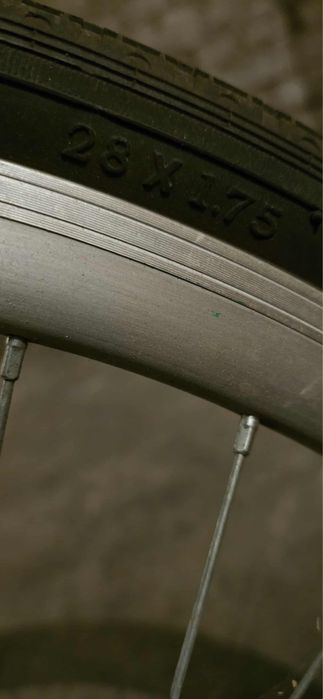 Rower miejski Indiana