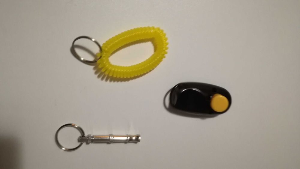 zestaw do nauki PSA clik clikier gwizdek smyczka oryginał e-collar usa