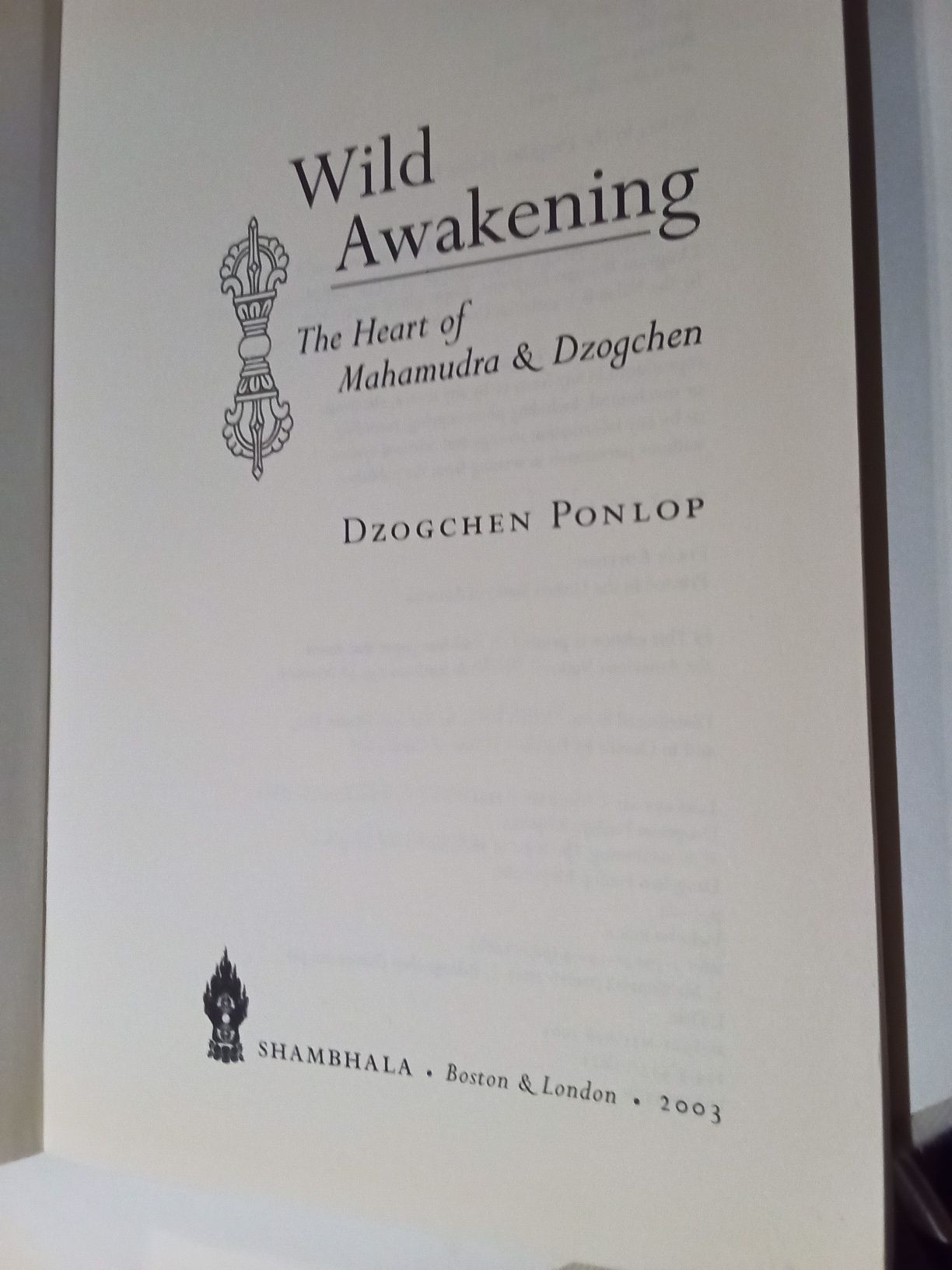 Wild Awakening by Dzogchen Ponlop
