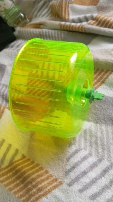 Kołowrotek dla gryzoni