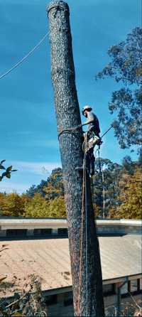 Arborista Corte e poda de árvores Arborista Vila Nova de Gaia