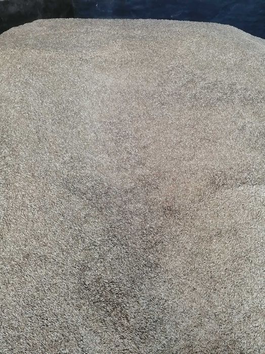 Продам овес Парламентський