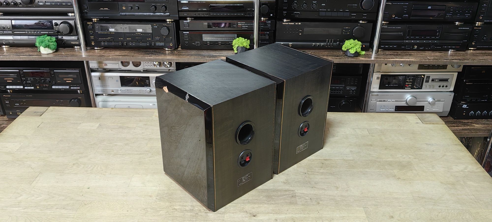 2-х полосна акустика Philips MZ-9/6Ω