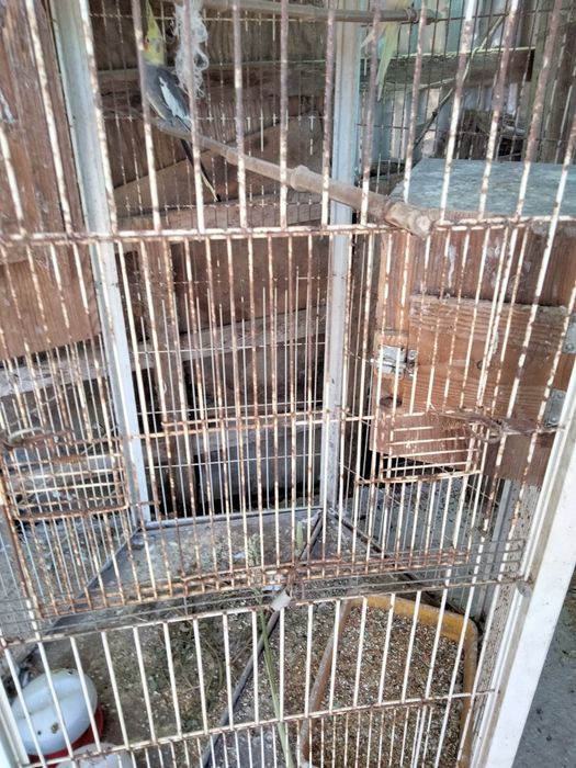 Viveiro para aves com rodas
