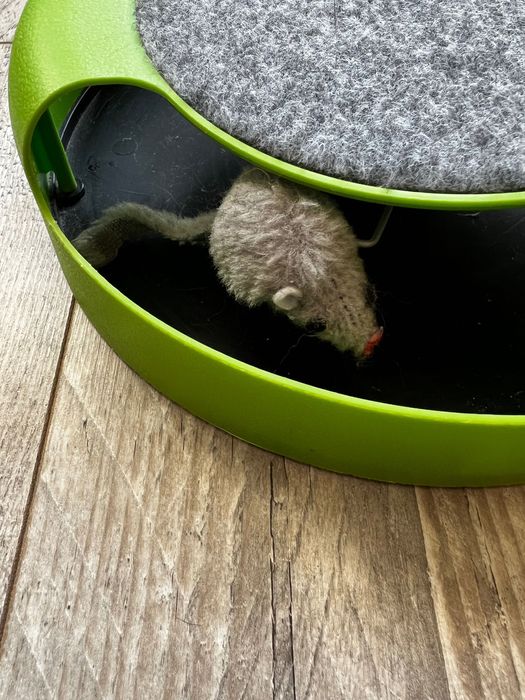 Zabawka dla kota myszka drapak