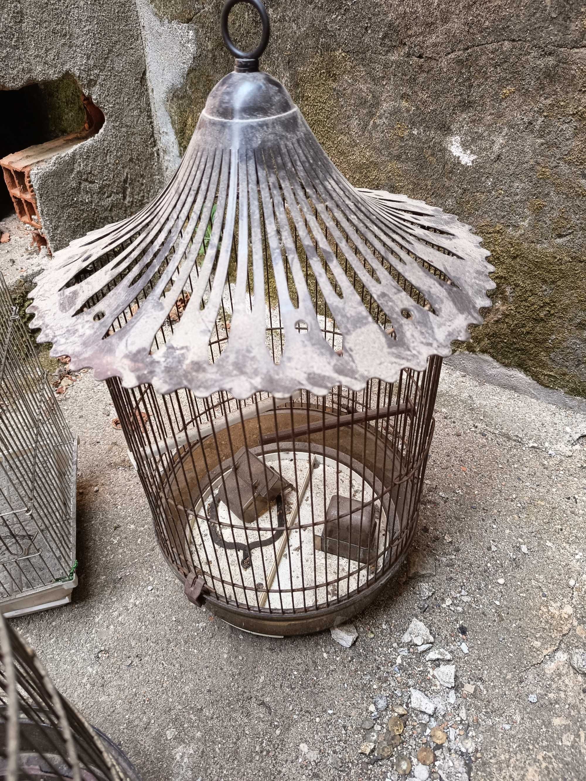 Conjunto de gaiolas-lote 180
