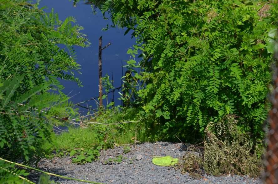 Домик на причале №5