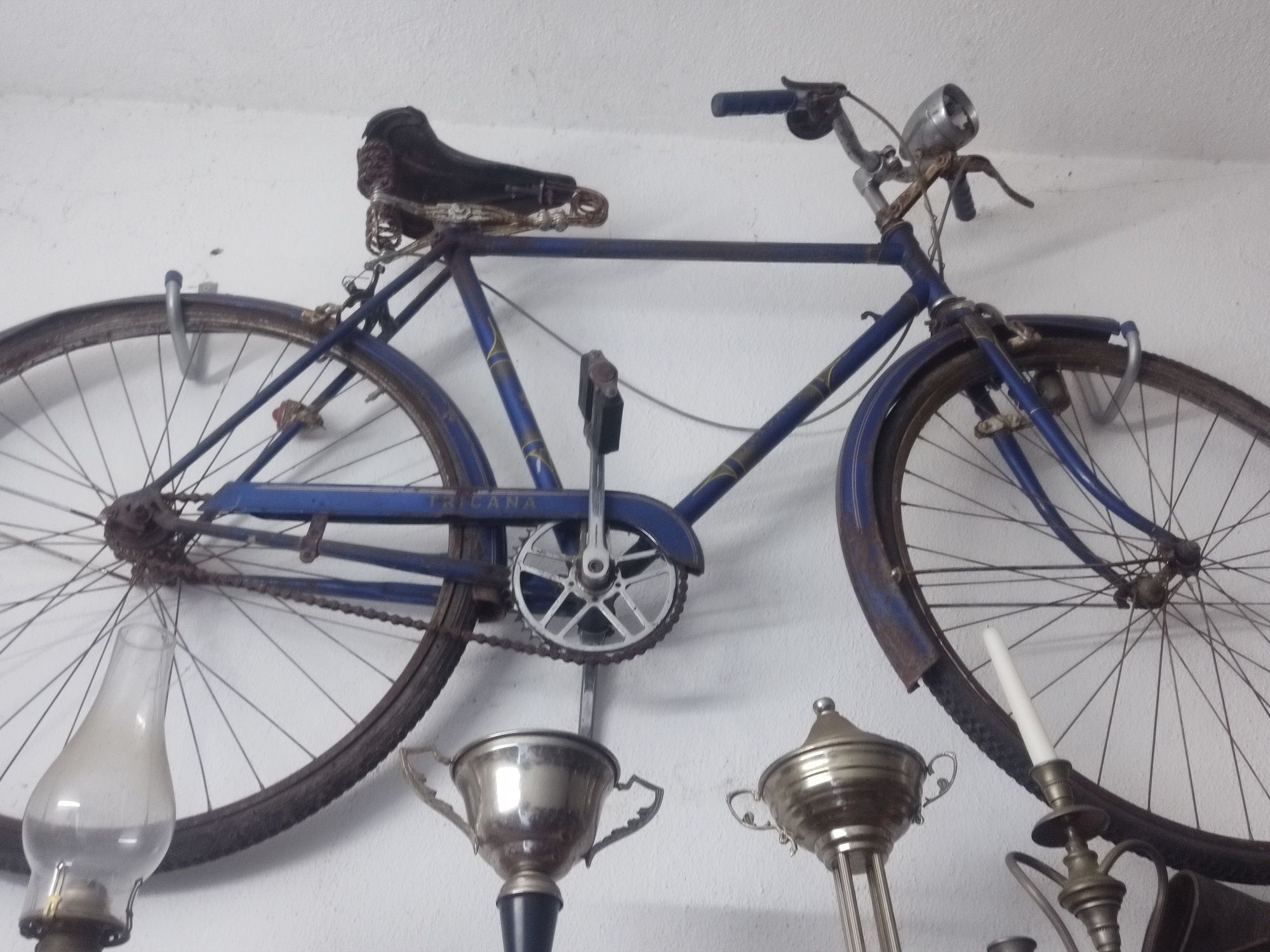 Pasteleira SANGAL tricana