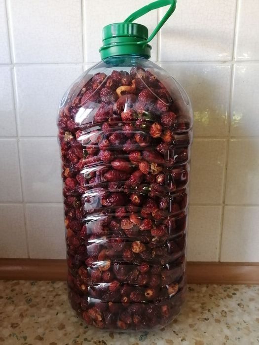 Шипшина Шиповник на фото 2 кг