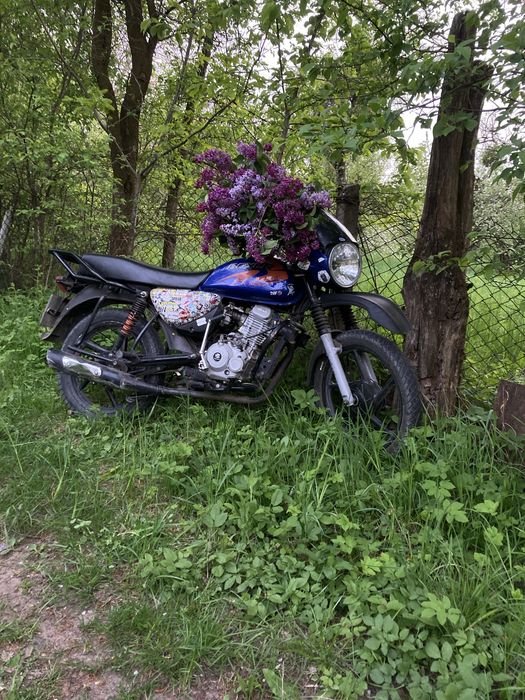 Bajaj boxer 125x 2021