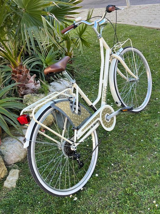Bicicleta pasteleira moderna feminina