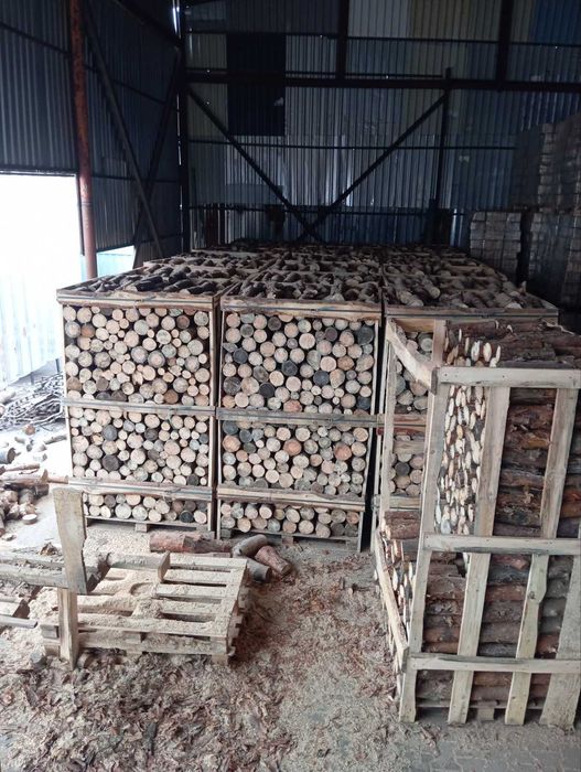 Дрова соснові порізані