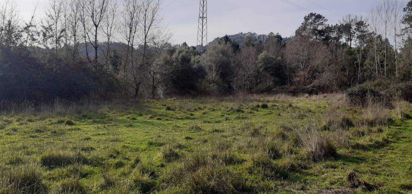 Terreno com área urbanizável