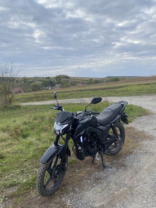 Musstang Region 250