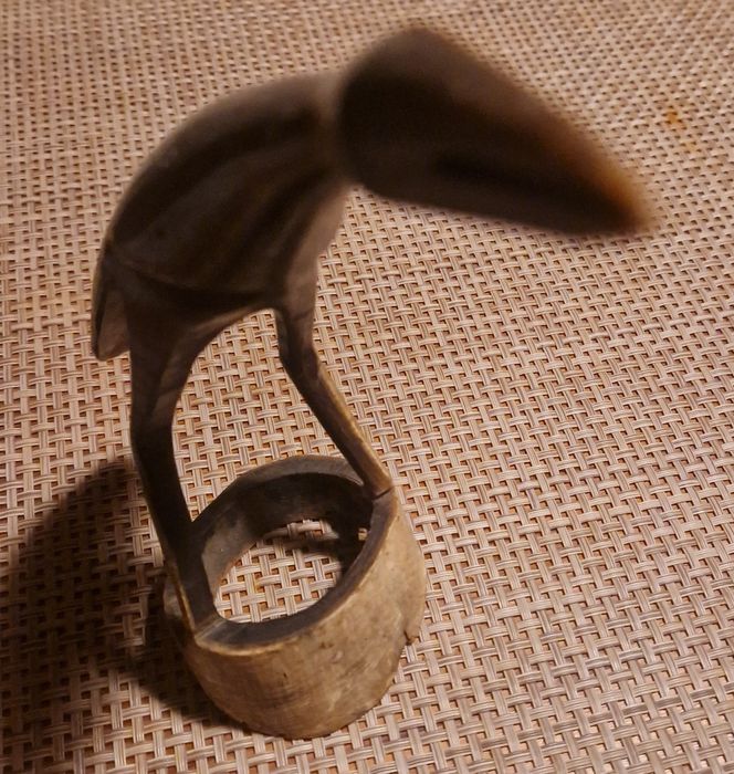 Corvo em dente de elefante