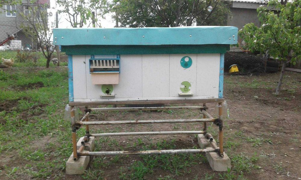 Улей-лежак   с   пчелосемьей.  25-ти  рамочный.   СРОЧНО.