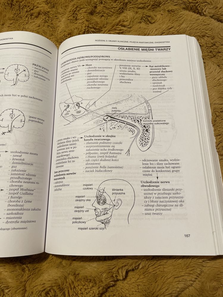 Neurologię i Neurochirurgia