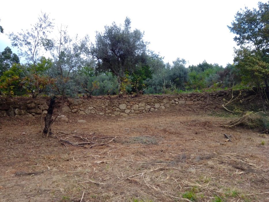 Quinta com casa para reconstrução