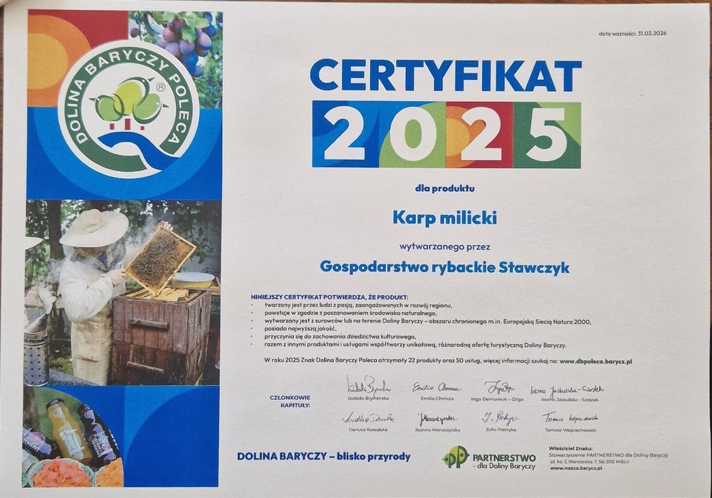 Sprzedaż Hurtowa Karpia Handlowego Oraz Kroczka Karpia Prosto z Hodowl