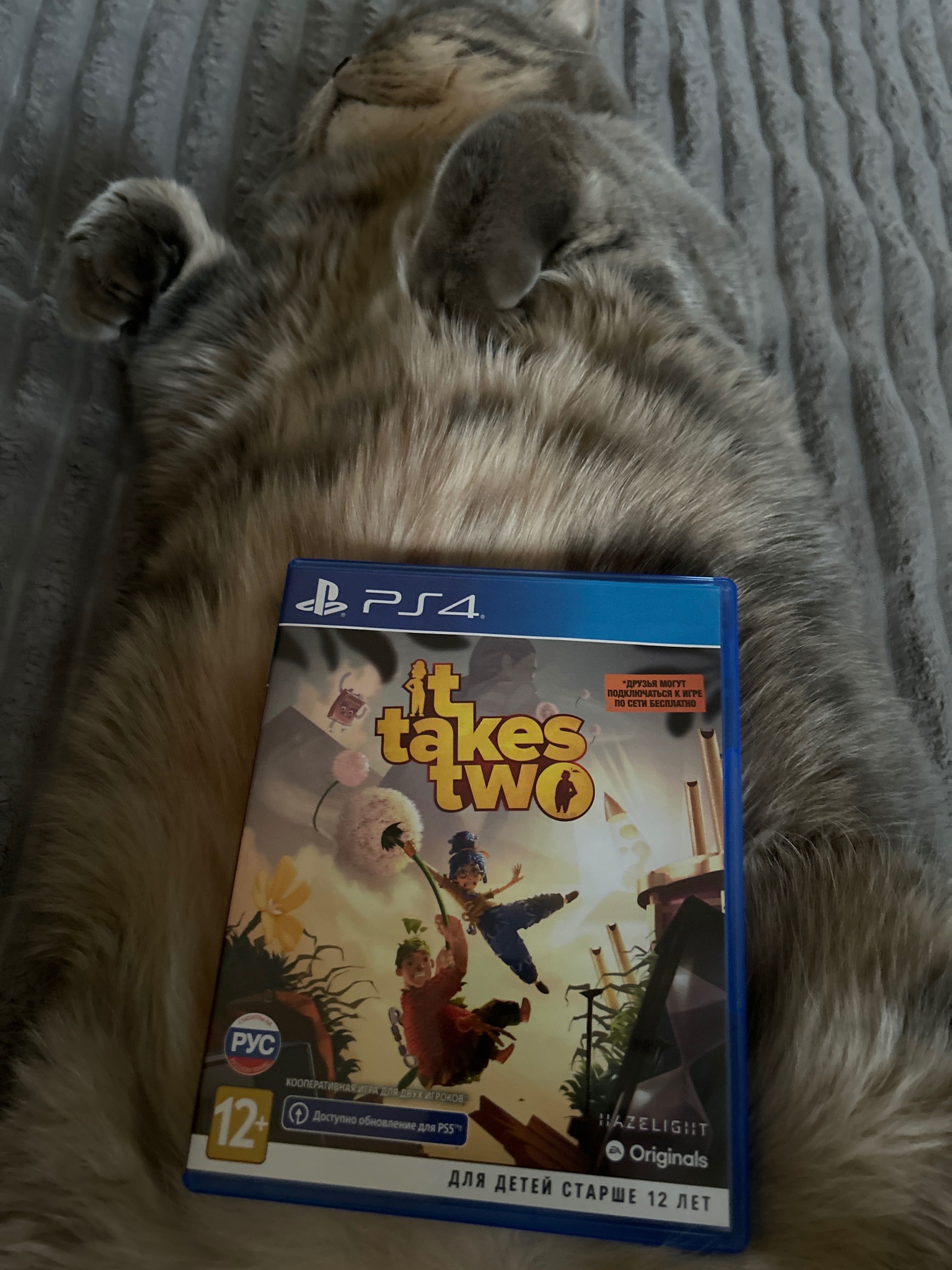 It Takes Two PS4 з оновленням для PS5