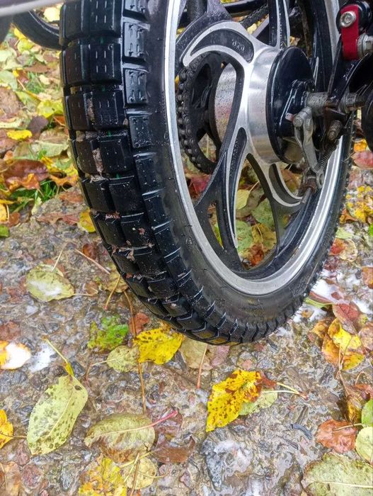 Мопед Mustang Dingo