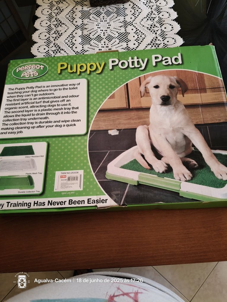 Banheiro de treinamento para cachorro