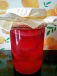 Kombucha żurawinowa - grzybek herbaciany+ starter