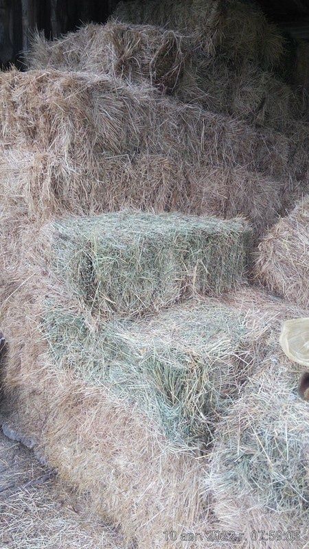 Сіно в тюках., Огороднє різнотрав'я,  є солома