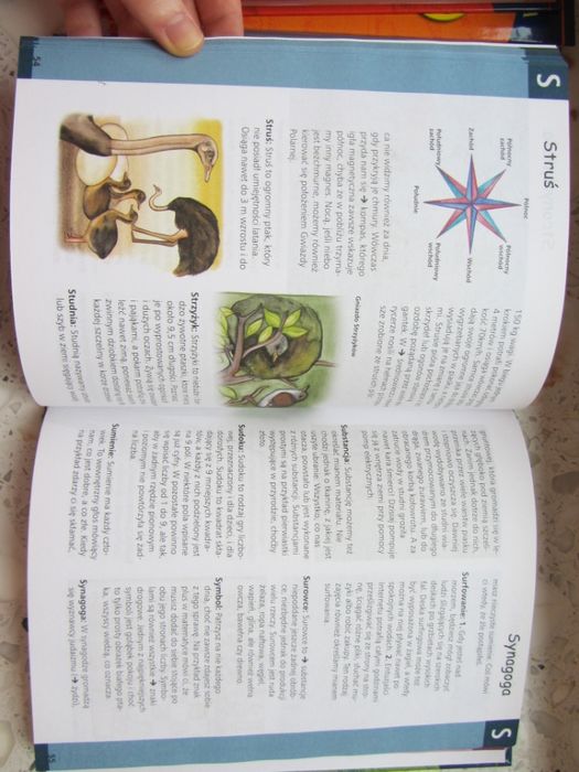 Encyklopedia Szkolna - "Leksykon R-Ż" (TOM 3, stan idealny)