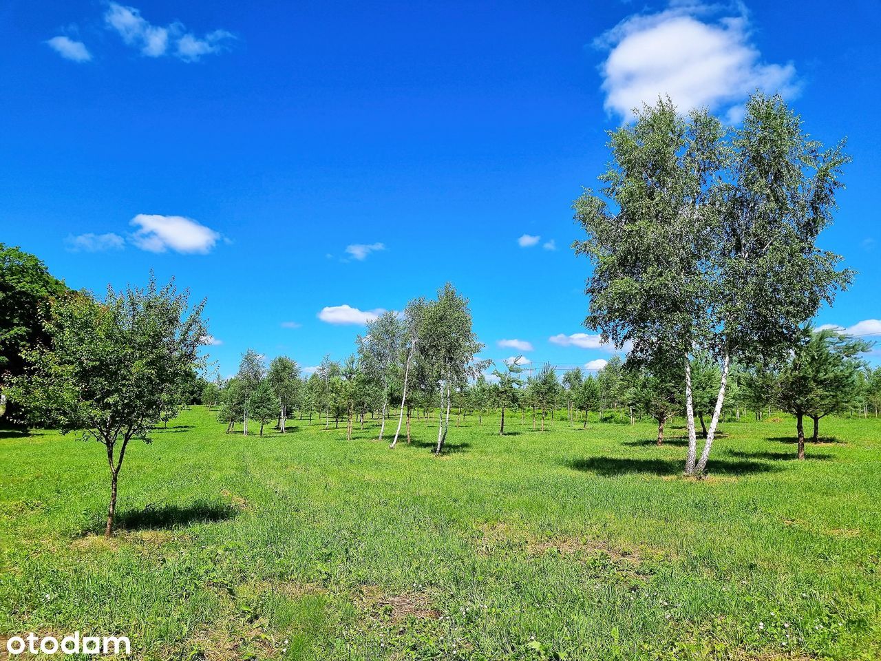 MAZURY Malownicze Działki bud z MPZP przy LESIE nad JEZIOREM_2h z W-wy