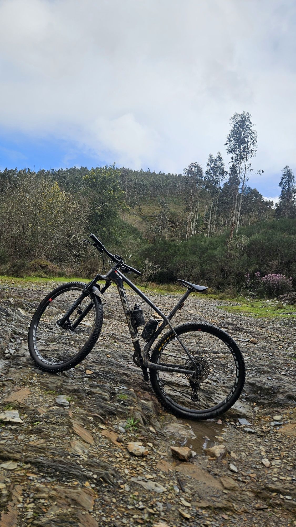 Bicicleta coluer roda 29 em carbono