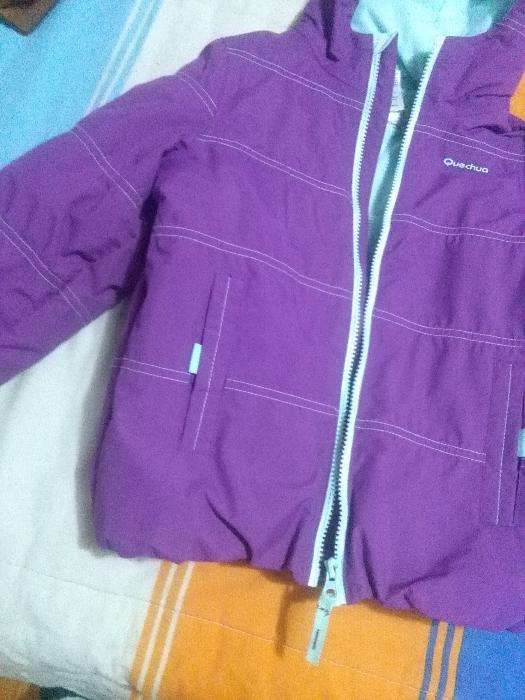 Kispo da Quechua  6 anos