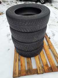 Opony zimowe Nokian WR SUV 3 225/65R17 XL