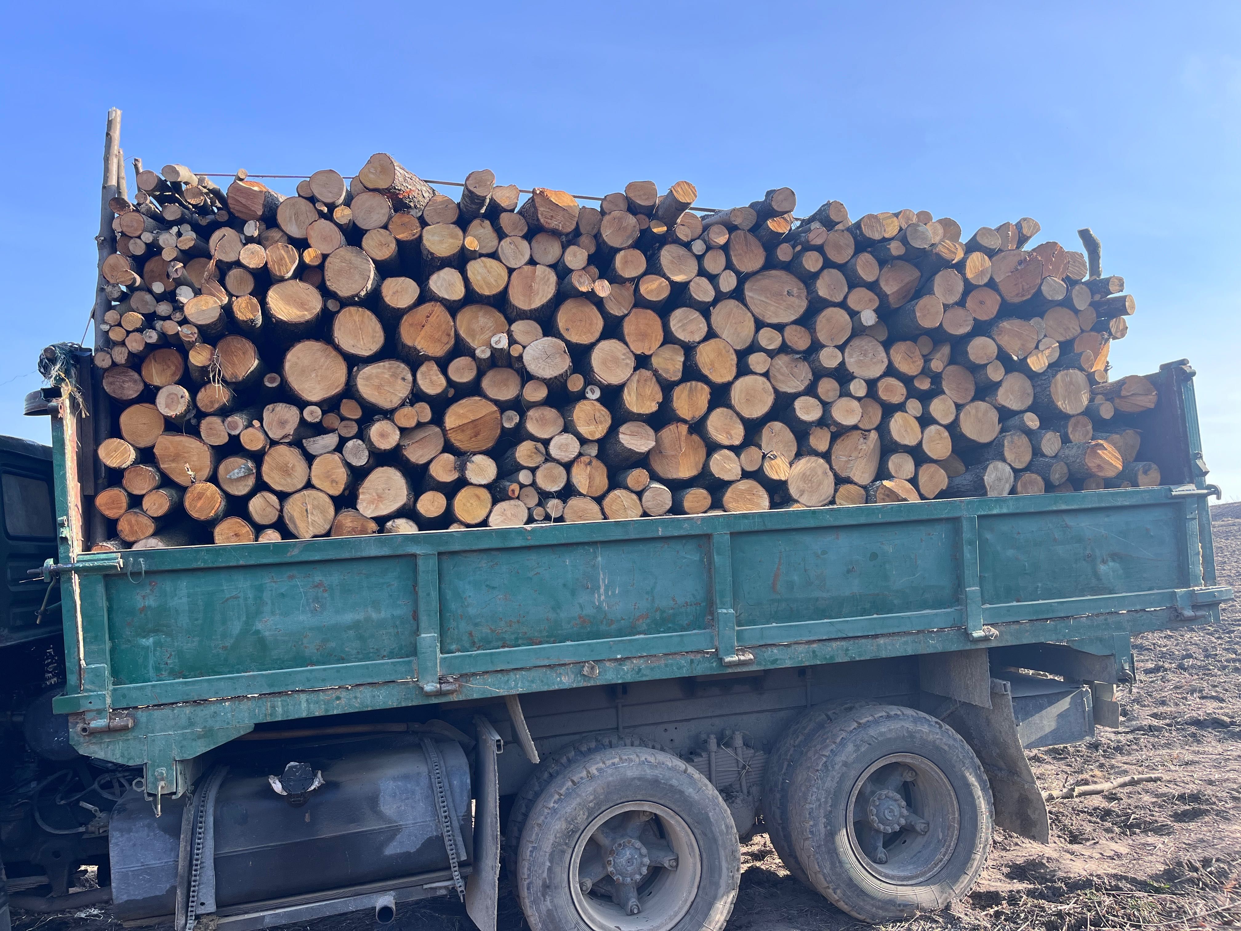 Продам Дрова дешево
