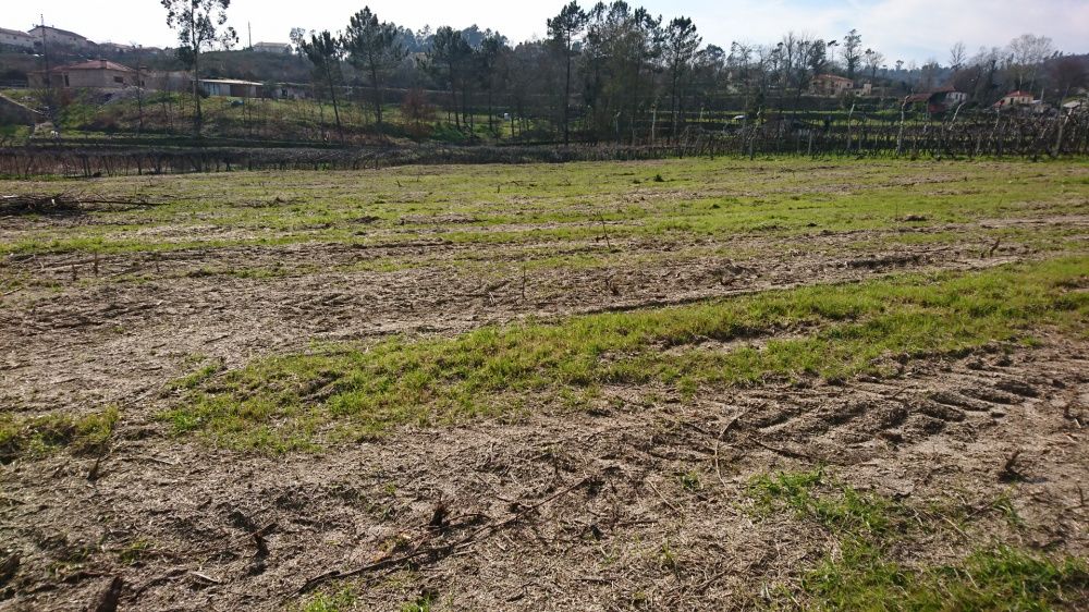 Arrendo parcelas de terreno,diversas dimensões.