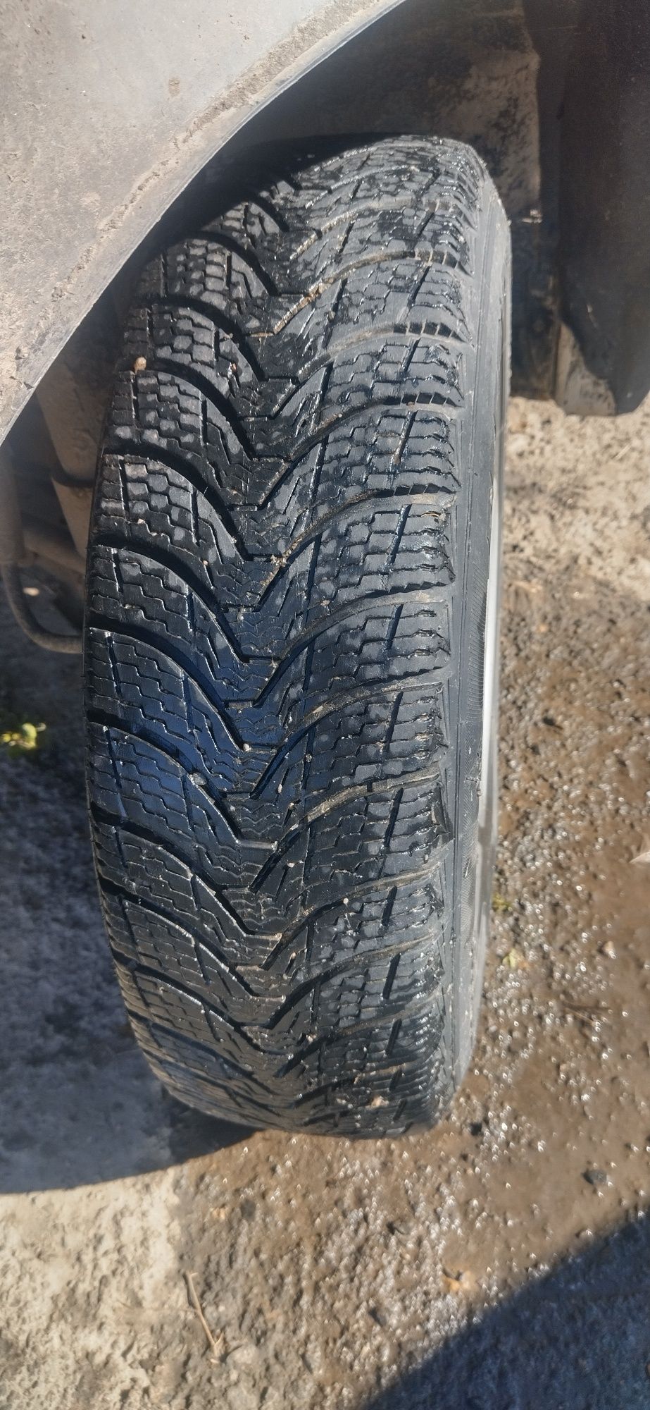 Резина зима 175/70 R13