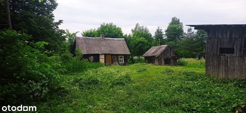 Siedlisko w Kruszynianach