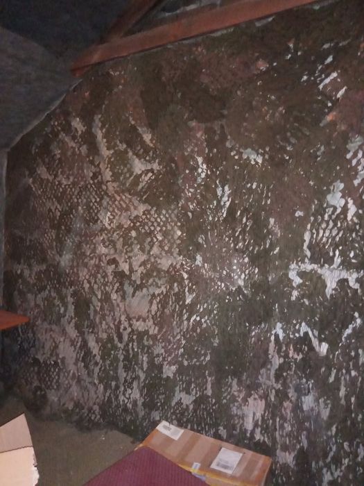 Siatka maskująca wojskowa, glony