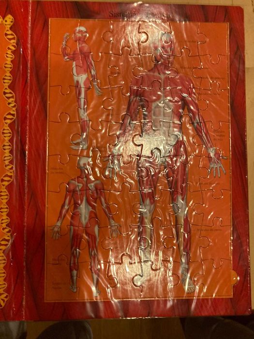 Livro puzzle anatomia corpo humano contem varios puzzles por abrirl.