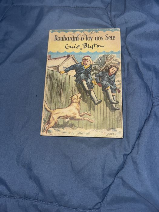 Livro Roubardm o Toy aos Sete Crie, Bluton