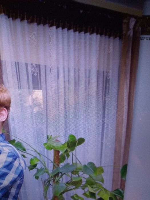 Dwie  pięknie firanki (szer. 200 i 250, dł. 250)