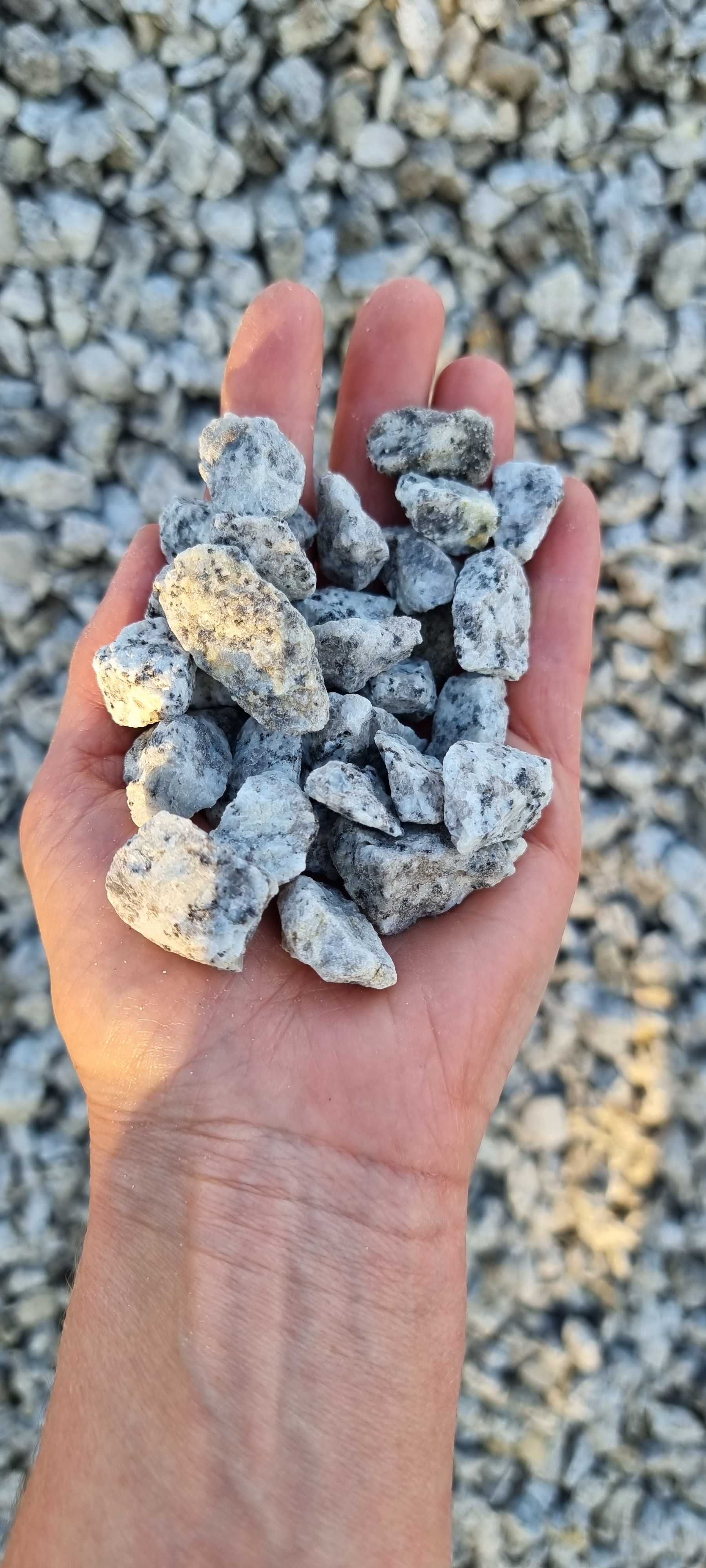 Kamień ozdobny ogrodowy, granit , dalmatyńczyk 8-16