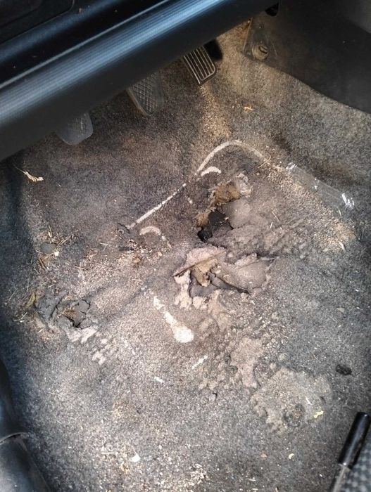 Honda jazz II 2005 uszkodzona szyba tylnia