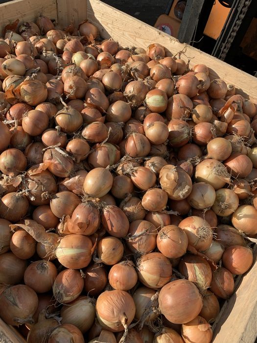 Ziemnaki warzywa z dowozem